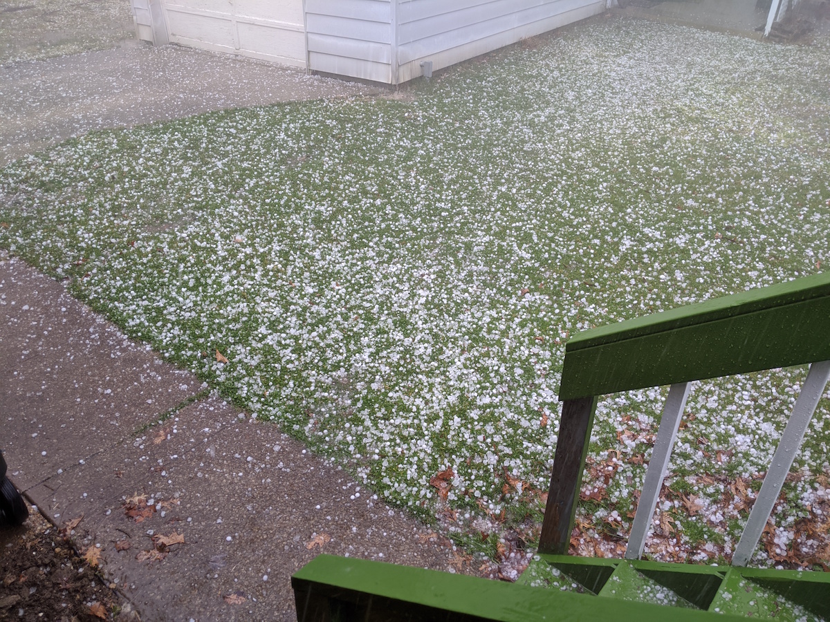 hail in yard